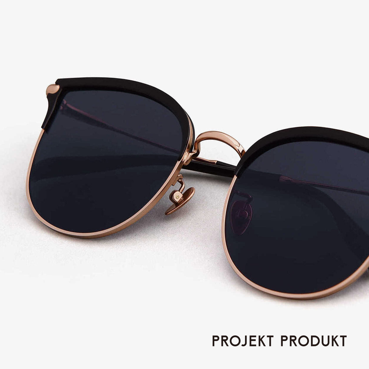 Projekt Produkt - AU5 C1PG 【New】