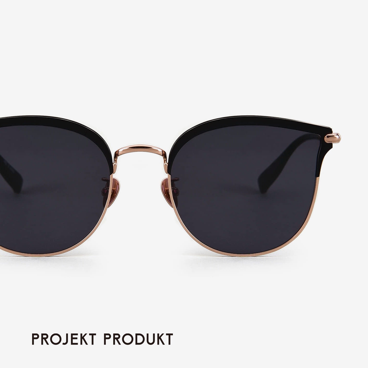 Projekt Produkt - AU5 C1PG 【New】