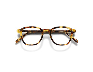 Moscot - Vantz Heritage Tortoise【New】