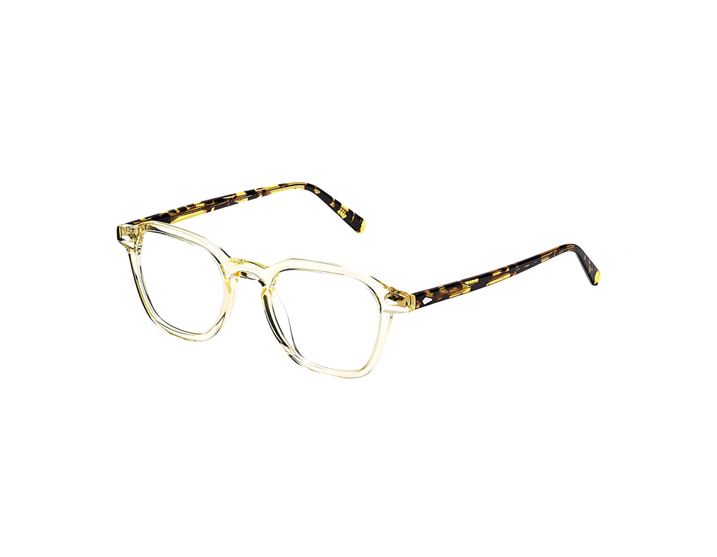 Moscot - Vantz Citron/Tortoise【New】